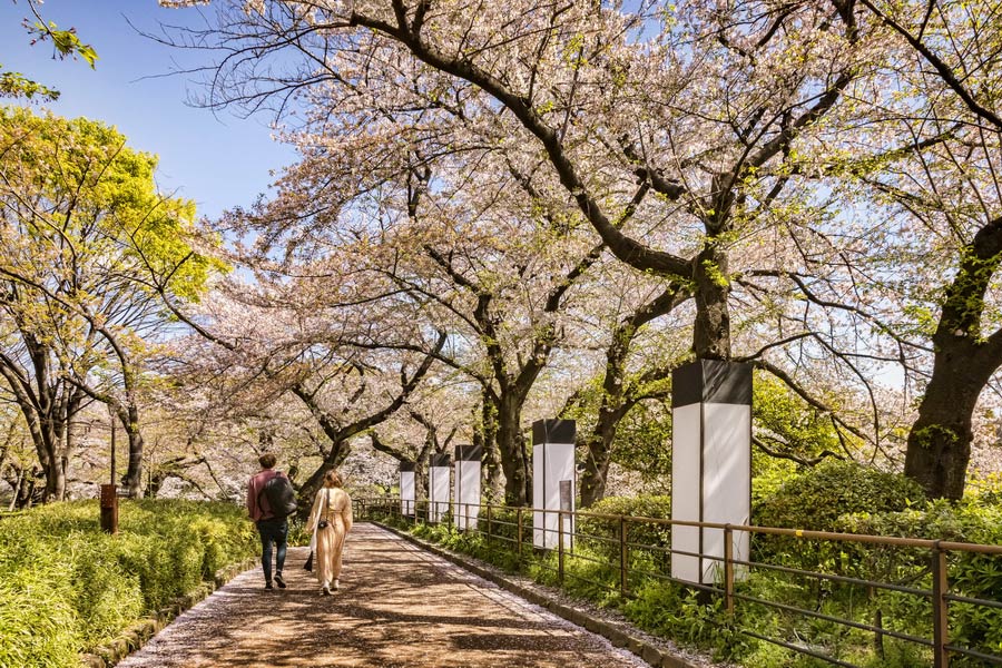 Imperial Palace East Gardens, Tokyo