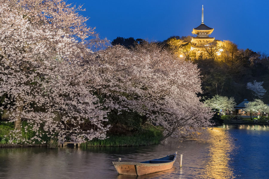 Sankeien Garden, Yokohama, Japan - Travel