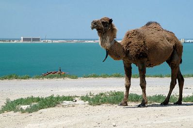Aktau, Kazakhstan