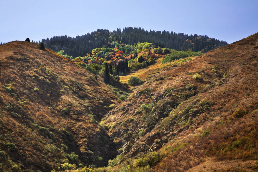 Turgen Gorge, Kazakhstan