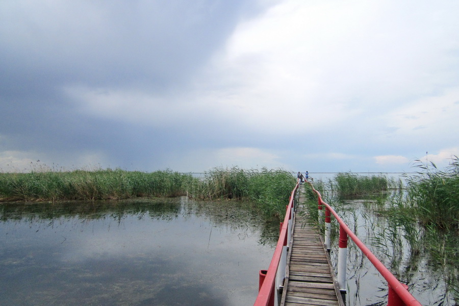 Korgalzhyn National Park near Astana