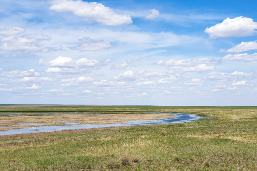 Korgalzhyn National Park, Astana