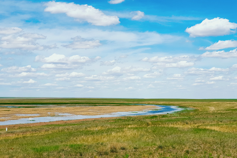 Korgalzhyn Nature Reserve Tours