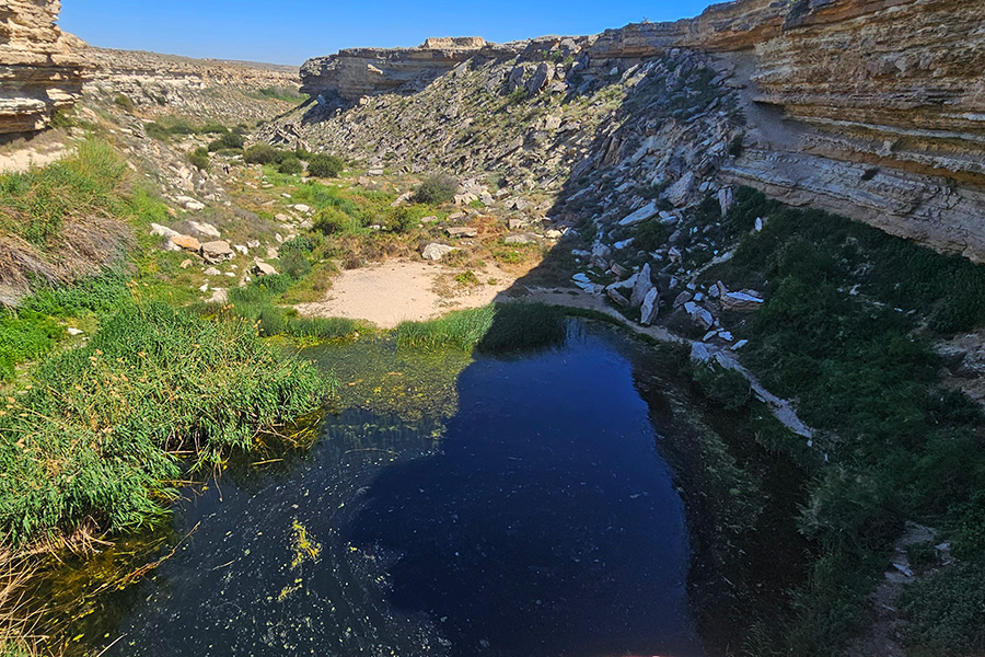 Каньон Саура, Мангистау