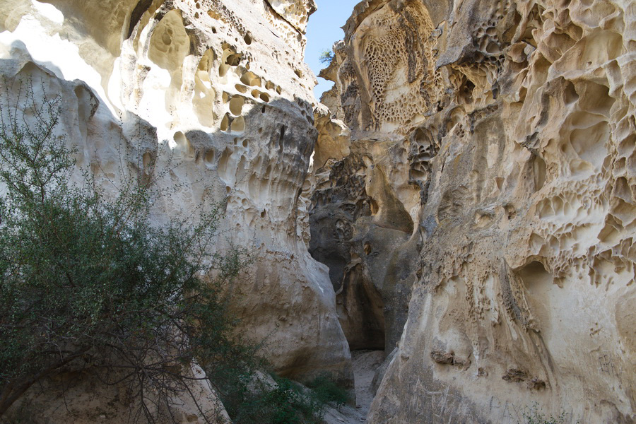 Cañón Ybykty, Mangystau