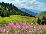 Tien-Shan, Kazakhstan