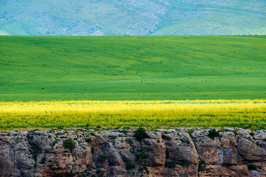 Aksu-Zhabagly Nature Reserve, Kazakhstan