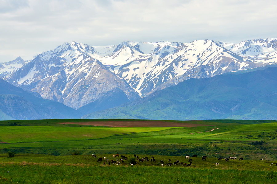Aksu-Zhabagly Nature Reserve, Kazakhstan
