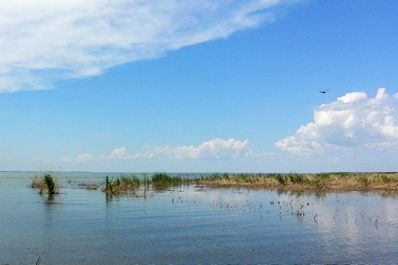 Korgalzhyn Nature Reserve