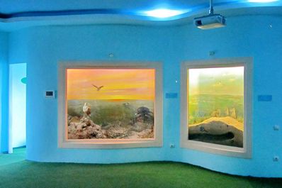 Museum at Korgalzhyn Nature Reserve