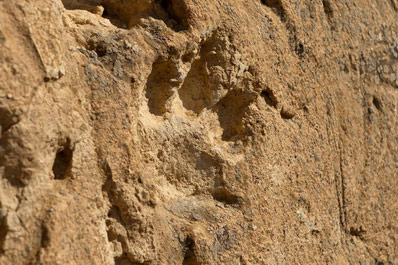 Zhygylgan Fault