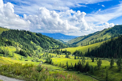 Старая Австрийская дорога
