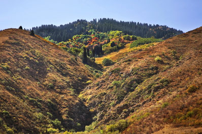 Turgen Gorge