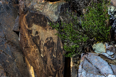 Petroglyphs of Tanbaly