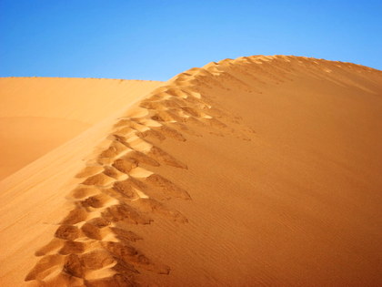 Tour to Altyn-Emel from Almaty