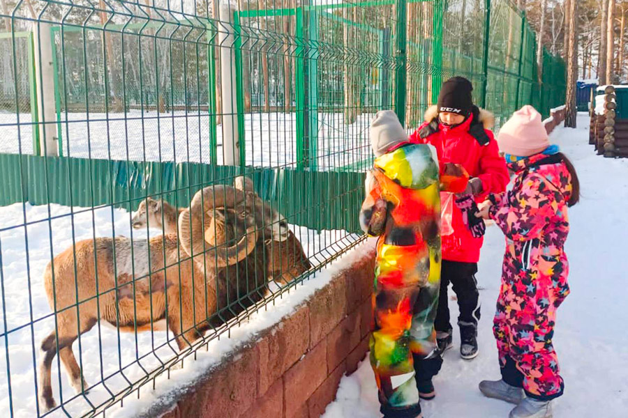 Aq Maral Deer Farm