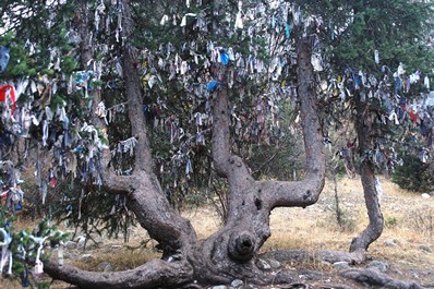 Ala-Archa nature reserve, Kyrgyzstan