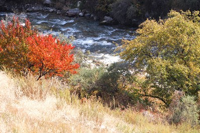 South Bishkek nature