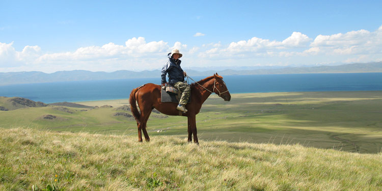 Лошади, Кыргызстан