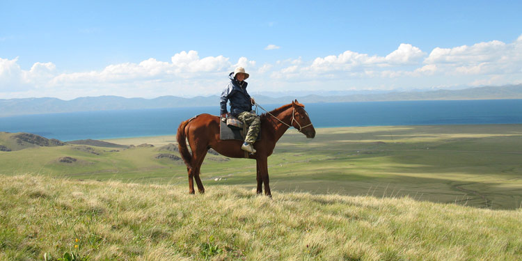 Chevaux, Kirghizistan