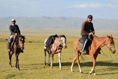 Horses in Kyrgyzstan