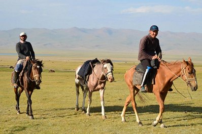 Caballos kirguises