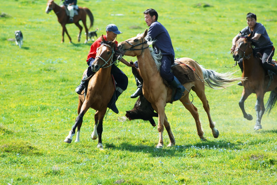 Kok-boru in Kyrgyzstan