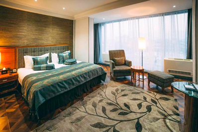 Стандартный двухместный, Гостиница Damas