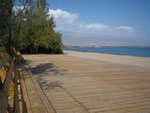 Beach, Botany Beach Hotel