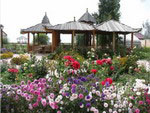 Flowers, Ohotniy dvor Hotel