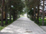 Alley