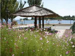 Flowers, Royal Beach Hotel