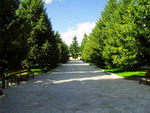 Alley