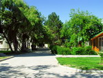 Alley