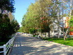 Alley