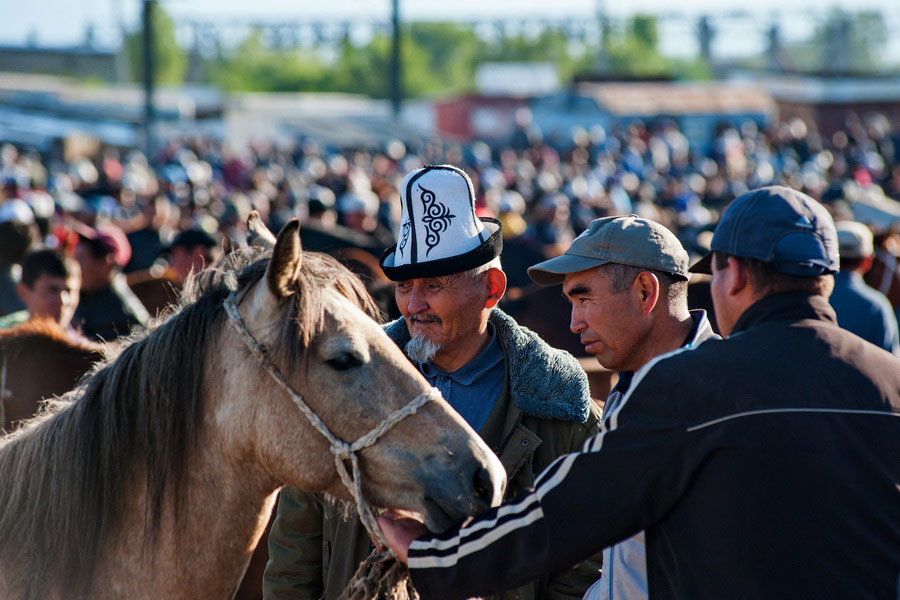 Livestock Market, Karakol