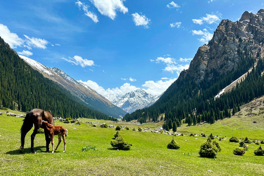 Karakol, Kyrgyzstan