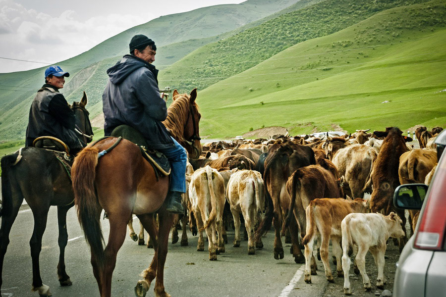 Кыргызские жайлоо