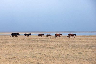 Son-Kul Lake, Kyrgyzstan