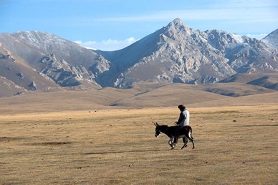 Fauna of Kyrgyzstan