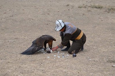 Fauna of Kyrgyzstan