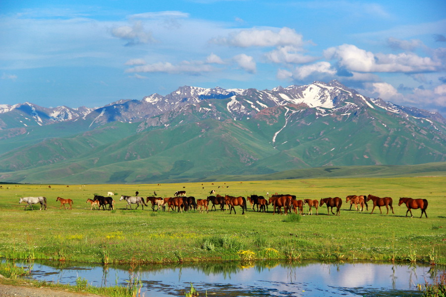 Suusamyr Valley, Kyrgyzstan