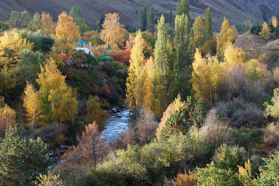 Nature of Kyrgyzstan. Ala-Archa National Park