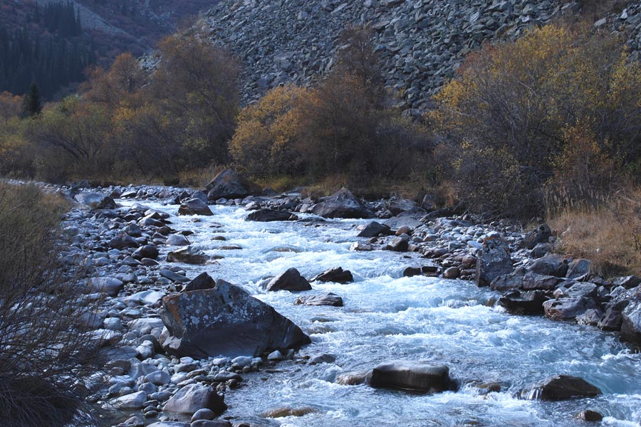 Nature of Kyrgyzstan. Ala-Archa National Park
