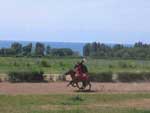 Festival des chevaux