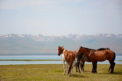 Фотографии Кыргызстана