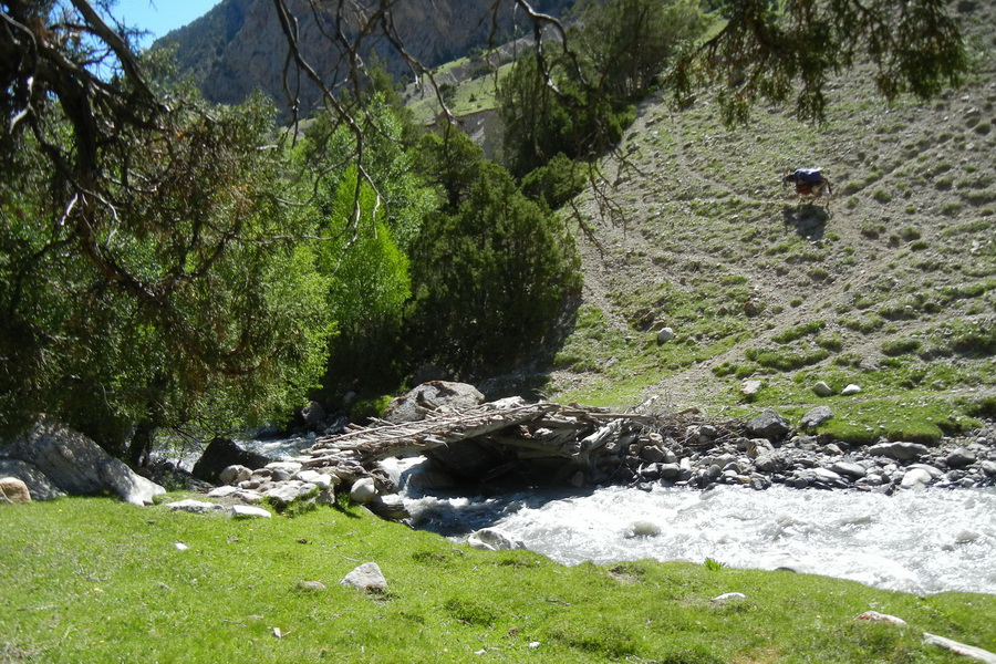 Bridge near Orto-Chashma Camp