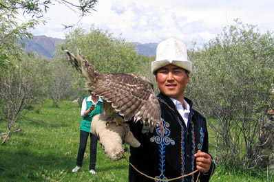 Espectáculo de caza con águilas y halcones