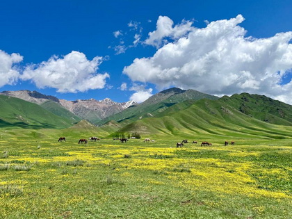 Tour to Chon-Kemin from Bishkek