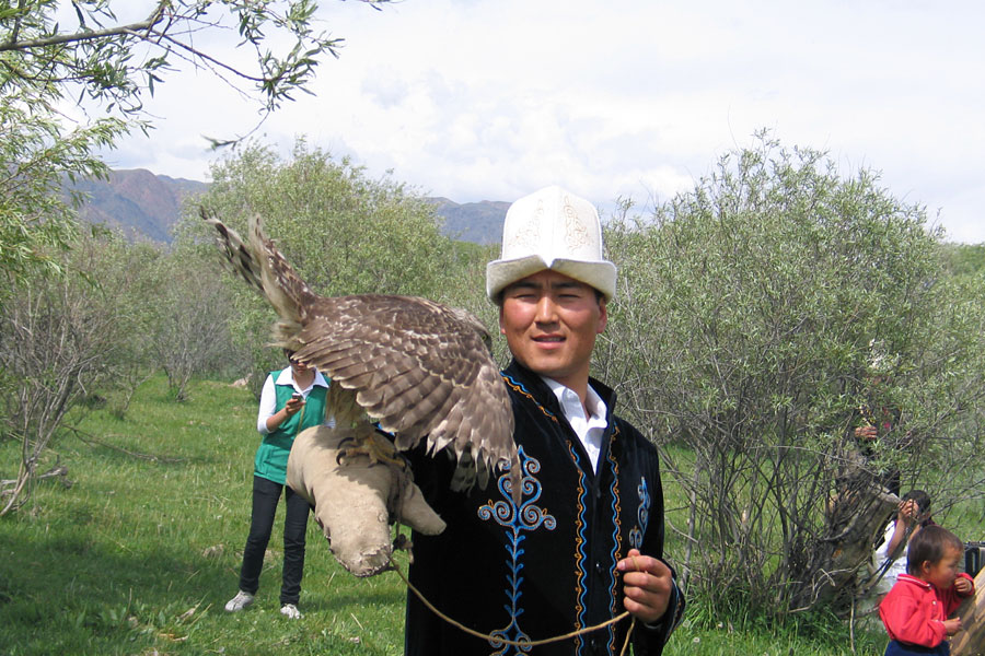 Falcon Hunting Show